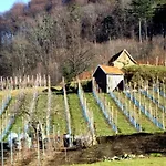 Apartmán Dieterich