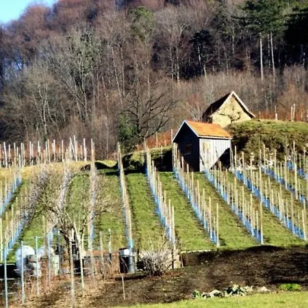 Dieterich Appartement *